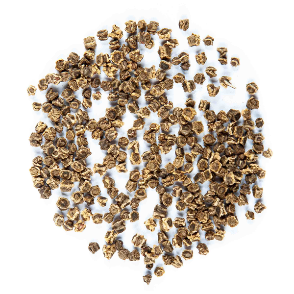 Beetroot (alternate view)