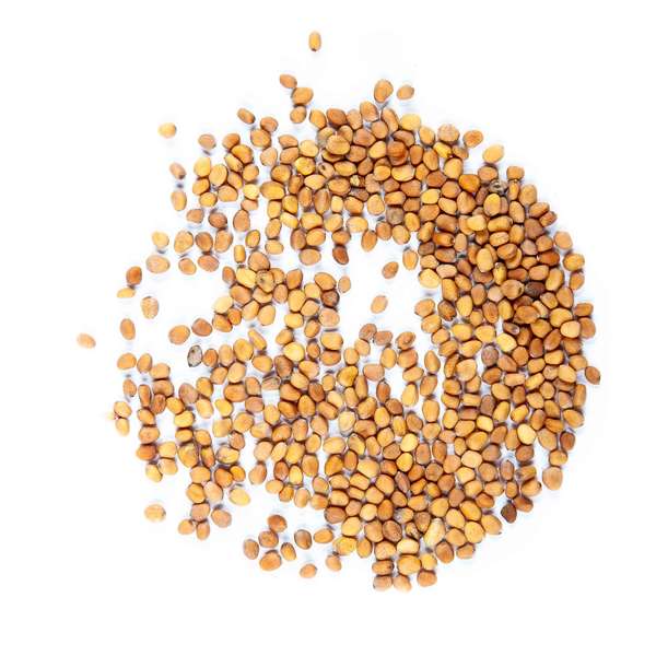 Radish (alternate view)